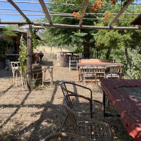 Vakantiehuis Cozy House In The Foot Of The Volcano *